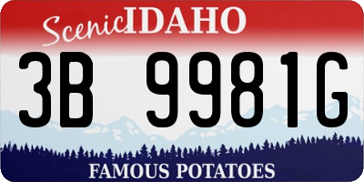 ID license plate 3B9981G