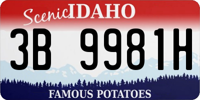 ID license plate 3B9981H