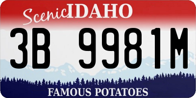 ID license plate 3B9981M