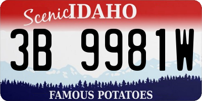 ID license plate 3B9981W