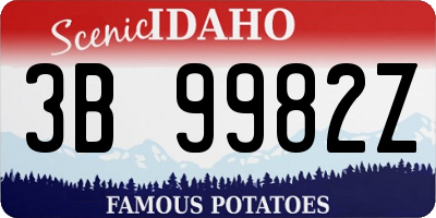 ID license plate 3B9982Z