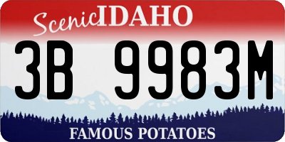 ID license plate 3B9983M