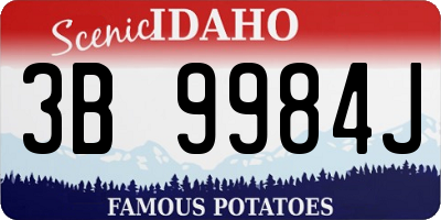 ID license plate 3B9984J