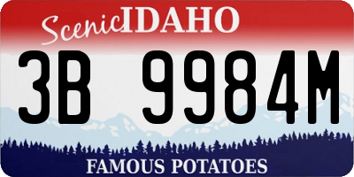 ID license plate 3B9984M