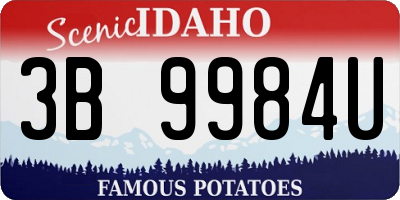 ID license plate 3B9984U