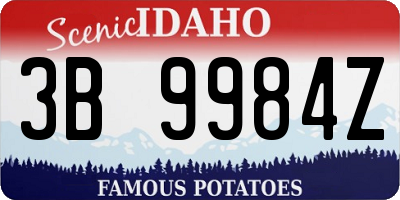 ID license plate 3B9984Z