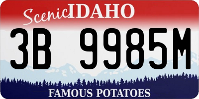 ID license plate 3B9985M
