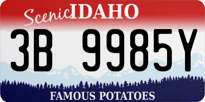 ID license plate 3B9985Y