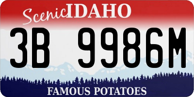ID license plate 3B9986M
