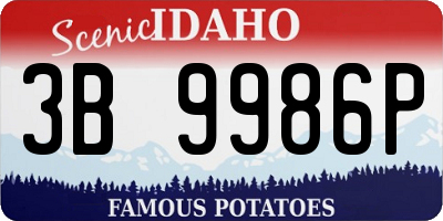 ID license plate 3B9986P