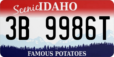 ID license plate 3B9986T
