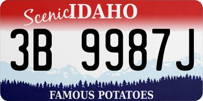 ID license plate 3B9987J