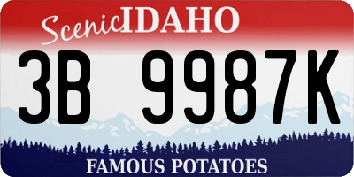 ID license plate 3B9987K