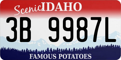 ID license plate 3B9987L