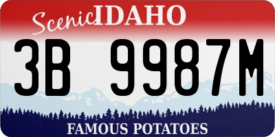 ID license plate 3B9987M