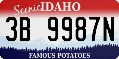 ID license plate 3B9987N
