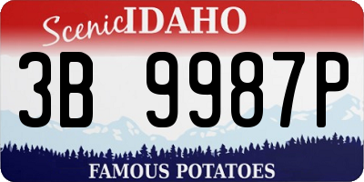 ID license plate 3B9987P