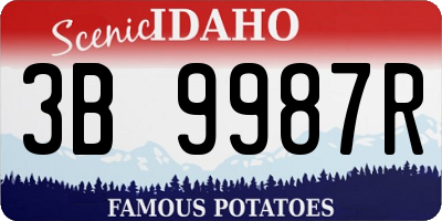 ID license plate 3B9987R