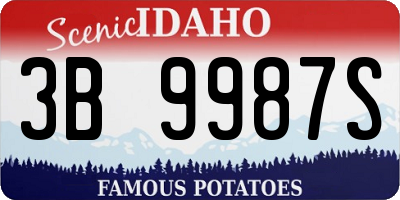 ID license plate 3B9987S