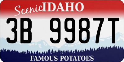ID license plate 3B9987T