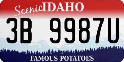 ID license plate 3B9987U