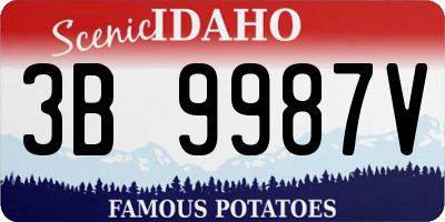 ID license plate 3B9987V