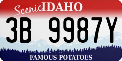 ID license plate 3B9987Y