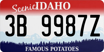 ID license plate 3B9987Z