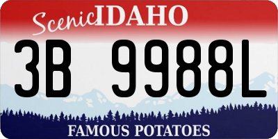 ID license plate 3B9988L