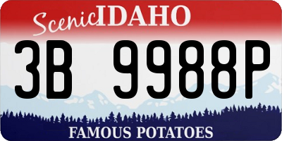 ID license plate 3B9988P