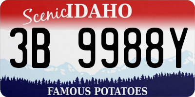 ID license plate 3B9988Y