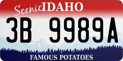 ID license plate 3B9989A