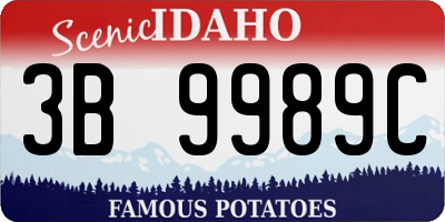 ID license plate 3B9989C