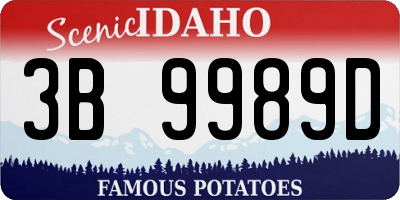 ID license plate 3B9989D