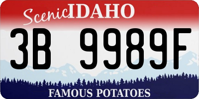 ID license plate 3B9989F