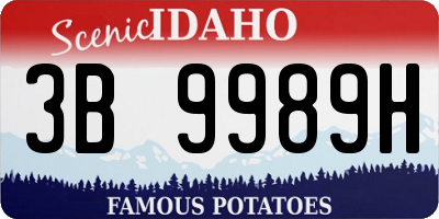 ID license plate 3B9989H