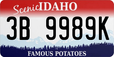ID license plate 3B9989K