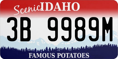 ID license plate 3B9989M