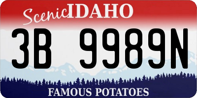 ID license plate 3B9989N