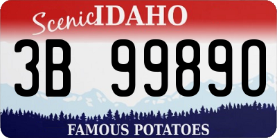 ID license plate 3B9989O