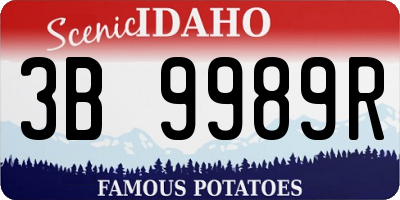 ID license plate 3B9989R