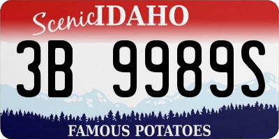 ID license plate 3B9989S