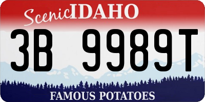 ID license plate 3B9989T