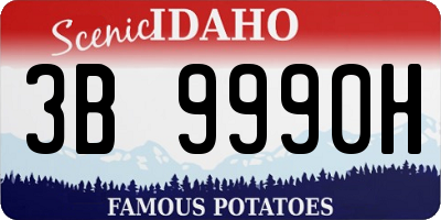 ID license plate 3B9990H
