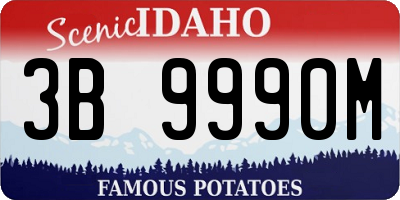 ID license plate 3B9990M
