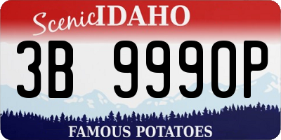 ID license plate 3B9990P