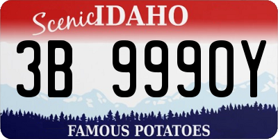 ID license plate 3B9990Y