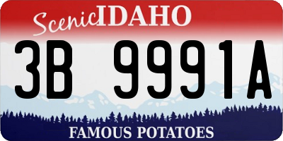 ID license plate 3B9991A