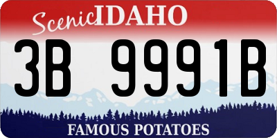 ID license plate 3B9991B