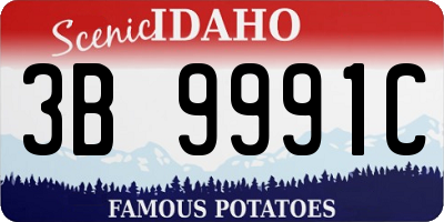 ID license plate 3B9991C
